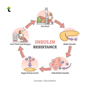 Resistensi Insulin