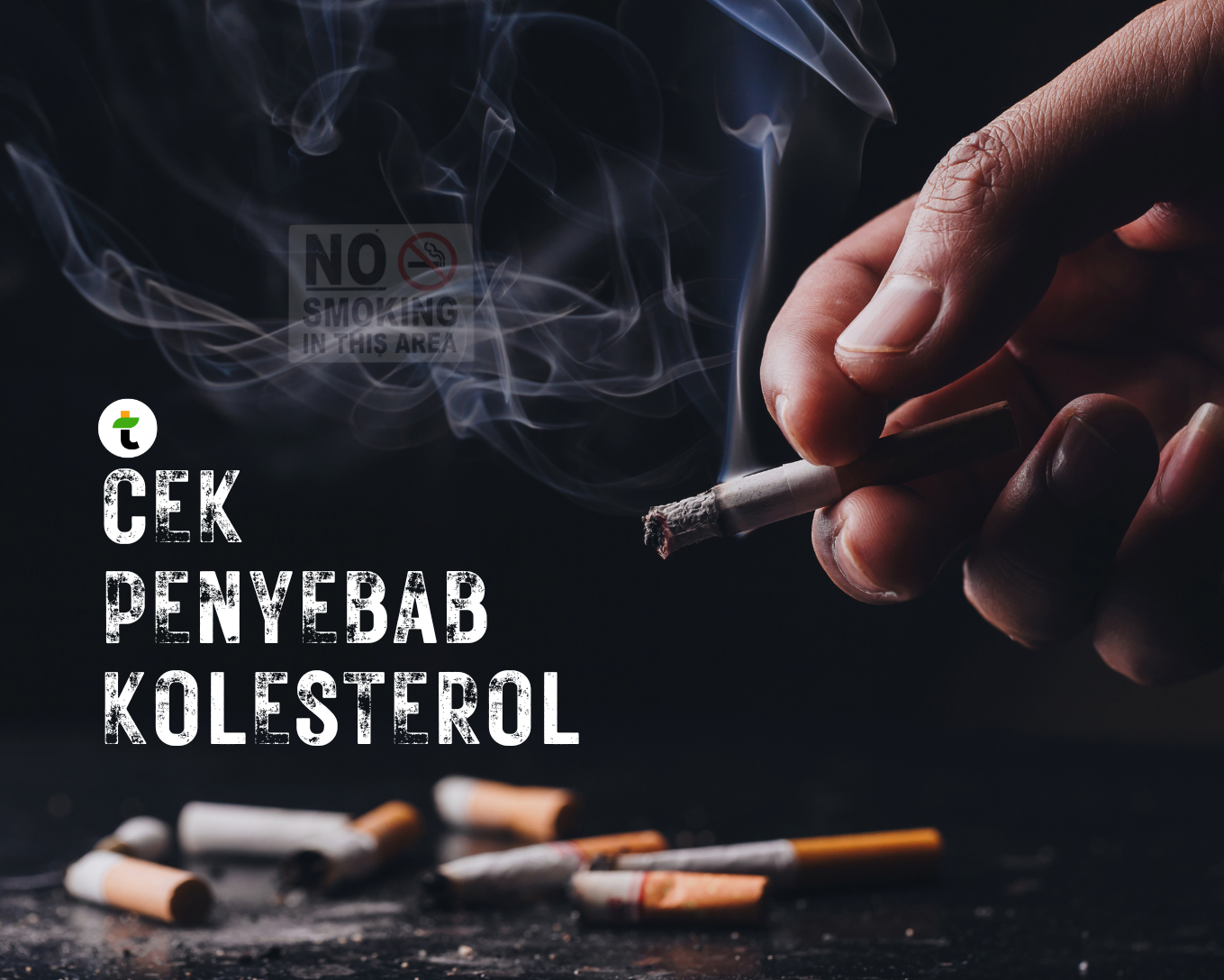 Tingginya Kolesterol Ternyata Tidak Hanya Disebabkan oleh Makanan