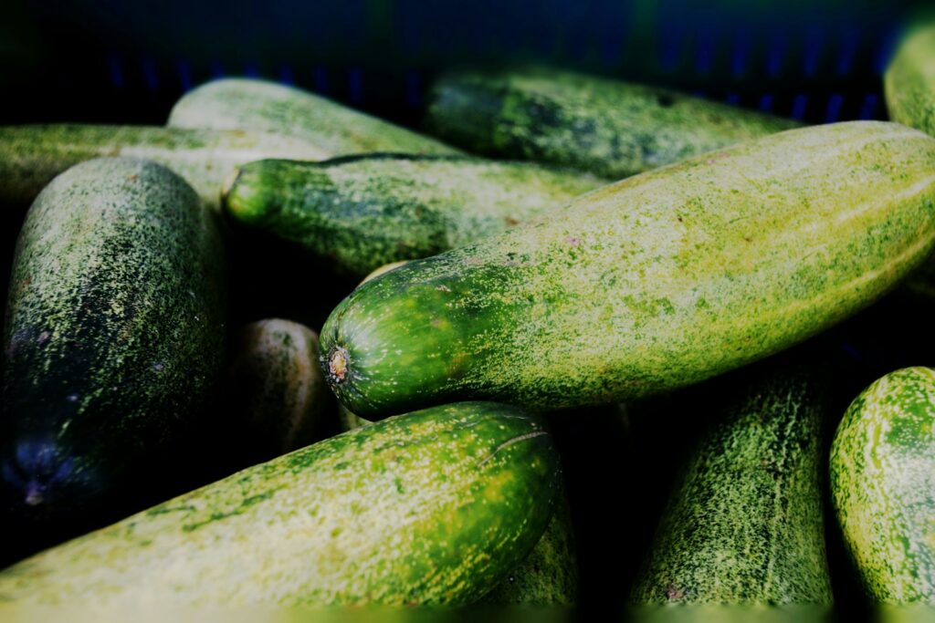 Manfaat Timun untuk Kolesterol Tinggi