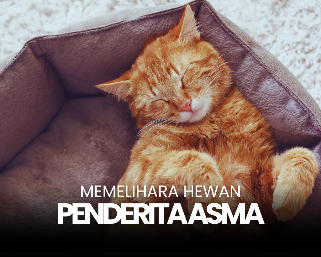 Tips Memelihara Hewan Peliharaan untuk Penderita Asma