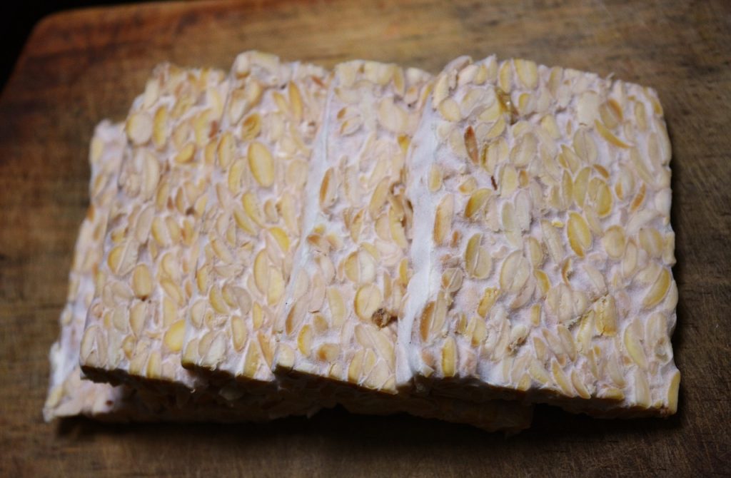 Fermentasi Tempe