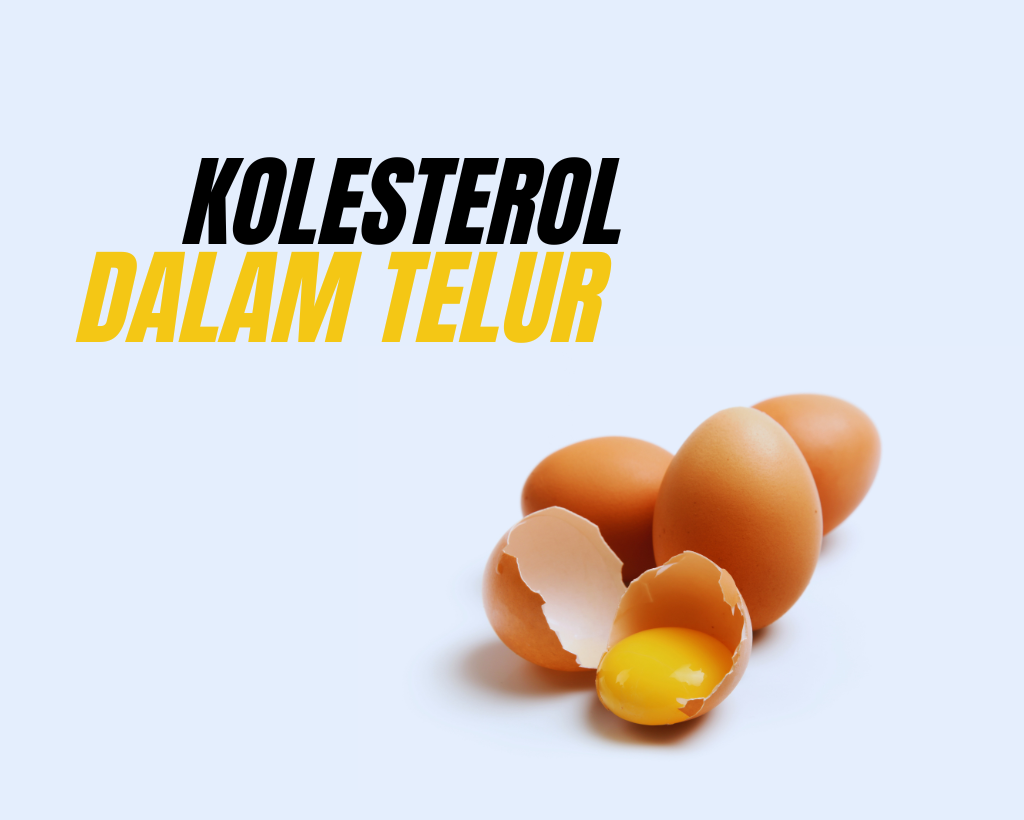 Makan Telur Setiap Hari, Amankah untuk Kadar Kolesterol?