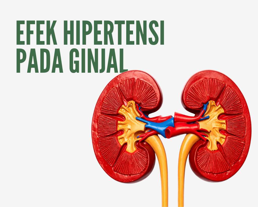 Tekanan Darah yang Konsisten Tinggi Berbahaya untuk Ginjal?